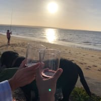 Photo by Tomas Eduardo Gonzalez