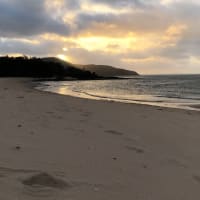 Photo by WANDERINGAUST