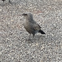 Photo by HomeIsWhereWeParkIt