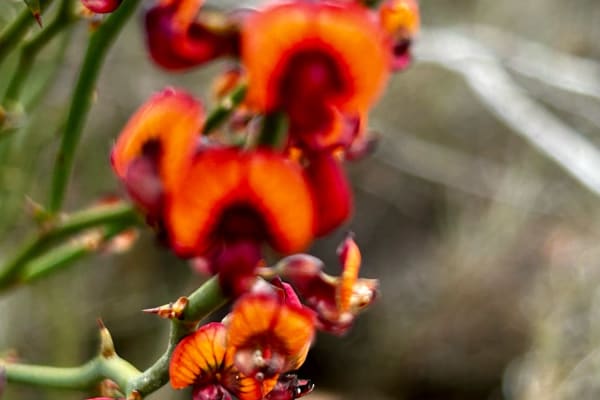 Photo by Chelsea and Jye