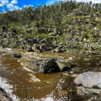 Photo by Dylan Bob Dwyer