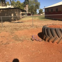 Photo by Dannielle Marion Davey Brogan