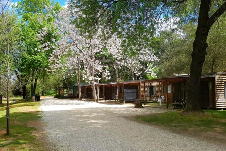 Photo by Shane & Robyn Newton