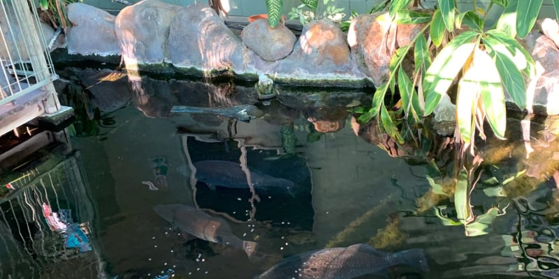 Photo by Corporate to Caravan