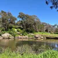 Photo by Courtney B.