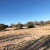 Photo by Edwin Van Ravesteyn