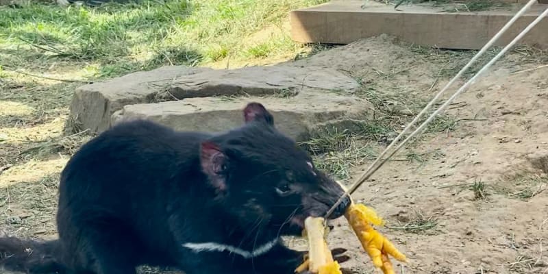 Photo by Corporate to Caravan