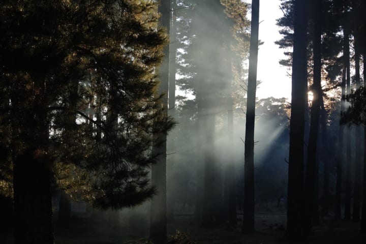 Photo by Brucethegoose