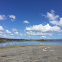 Photo by Theresa N Jason Brown