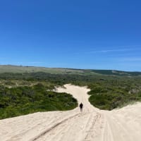 Photo by Happy Hour Hunters