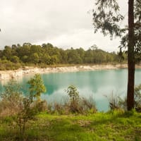 Photo by Ihaia Teiho Martin