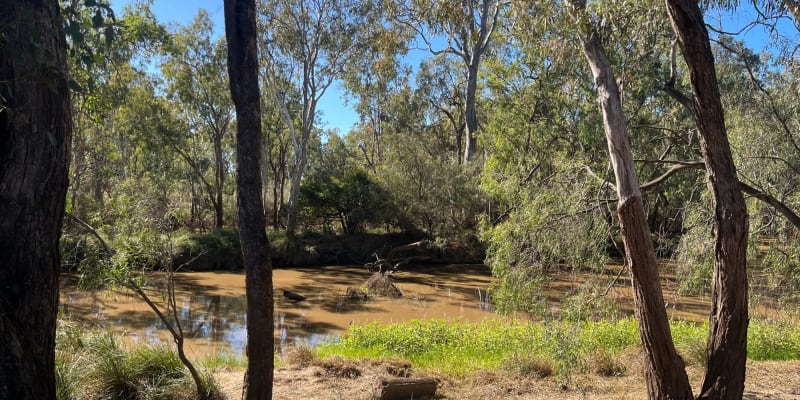 Photo of Charlie Creek Campground