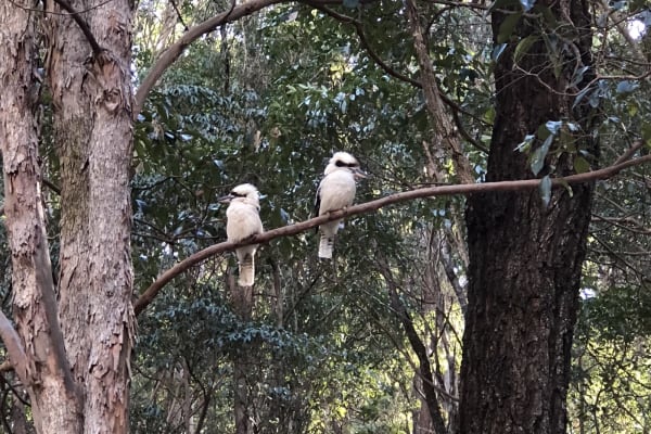 Photo by Cristina B.