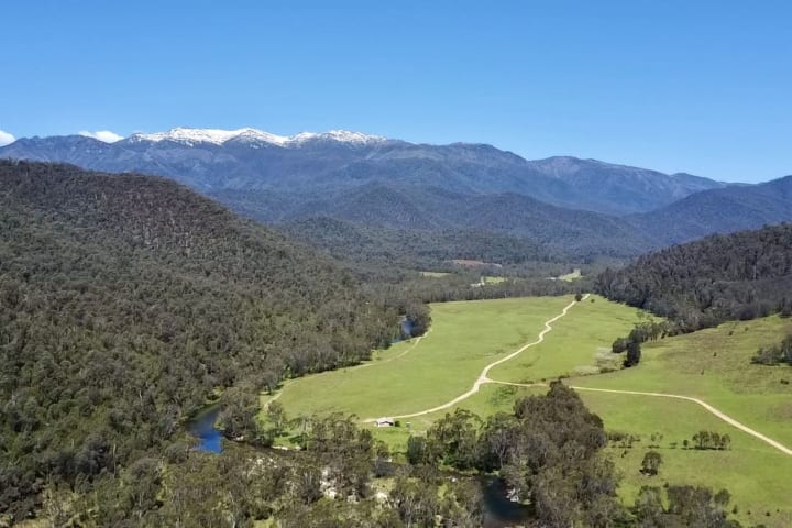 Photo by Courtney  Krause