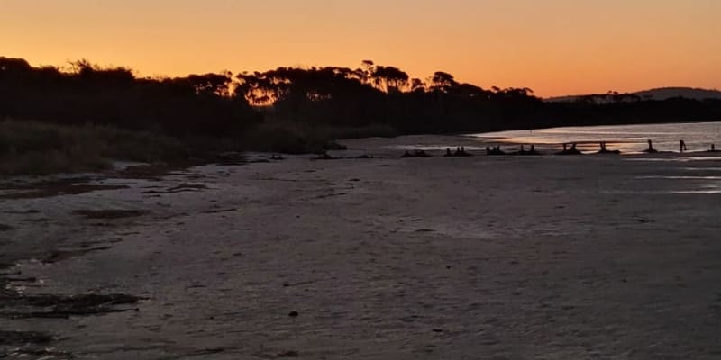 Photo by Sanchia Keeleigh Gray