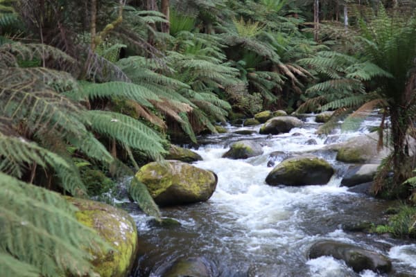 Photo by Isabella H.