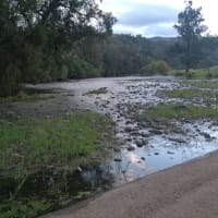 Photo by Michelle Clair Ovenden