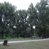 Photo by Krishantha E.