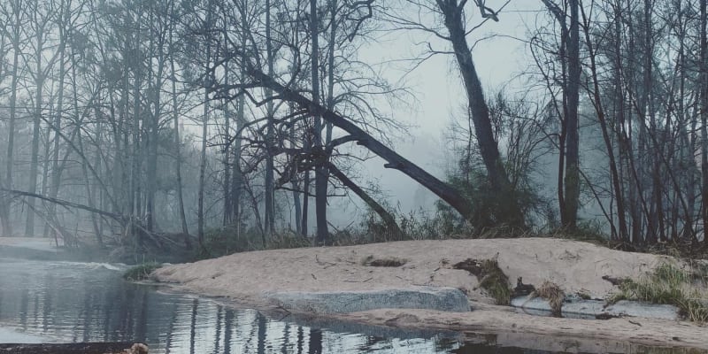 Photo by Benjahmin S.