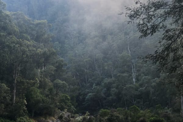 Photo by James Douglas Mitchell