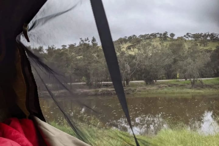 Photo by Victoria T.