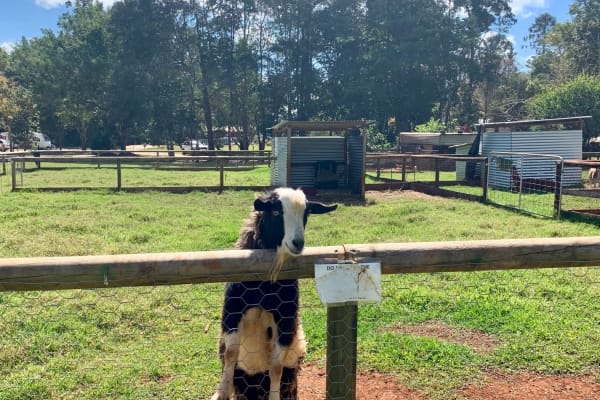 Photo by Corporate to Caravan