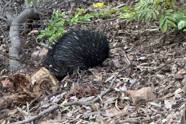 Photo by Erwin Van Den Bosch