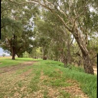 Photo by Lee-Anne F.