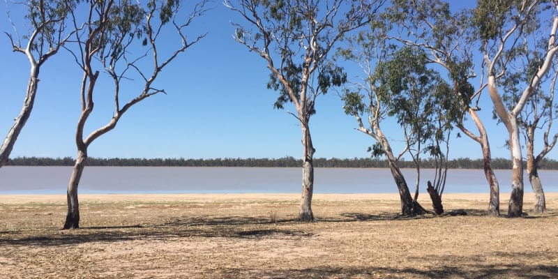 Photo by Annabelle J.