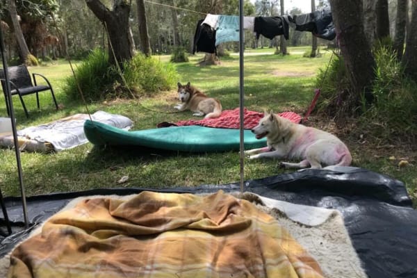 Photo by Jodie Roadster Campny