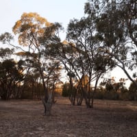 Photo by Kristine B.