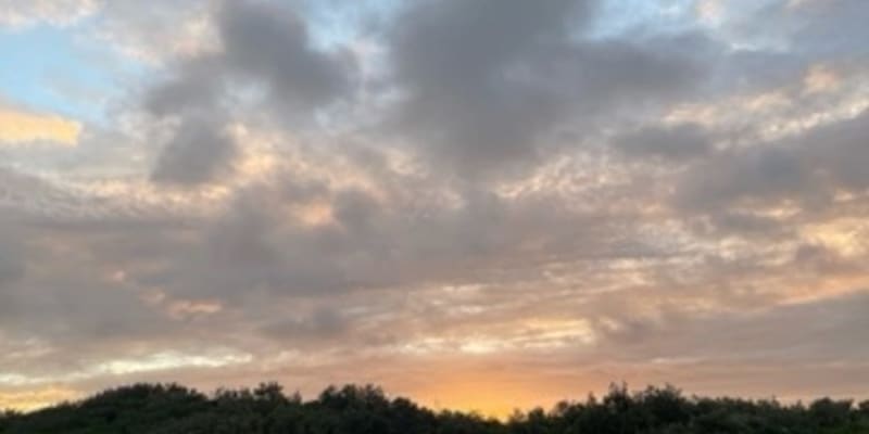 Photo by Ben + Elana