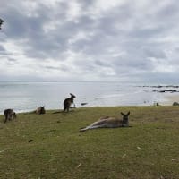 Photo by Mercedes W.