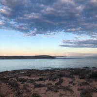 Photo by Philippa D.