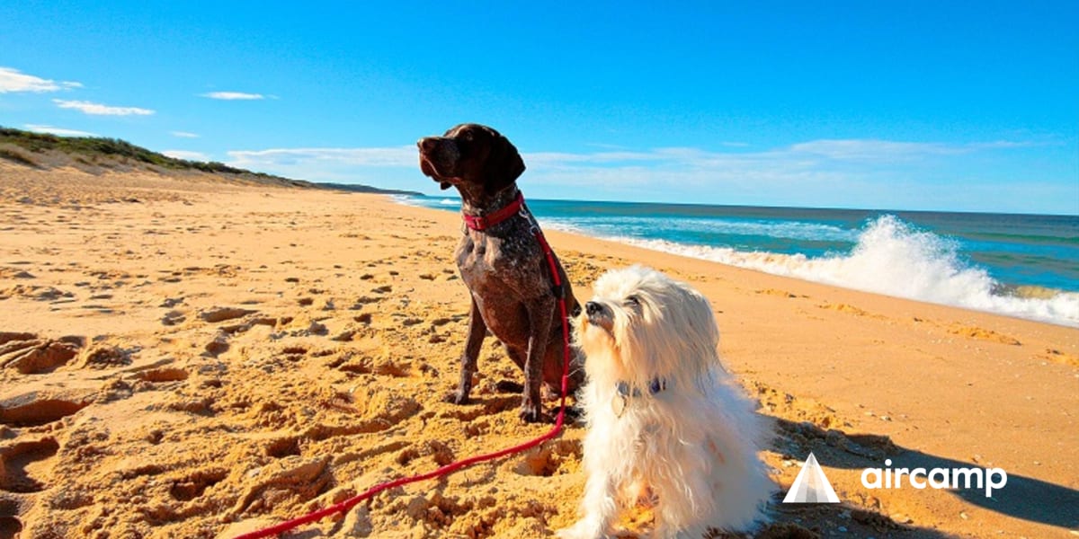Prime Pet Friendly Tourist Park