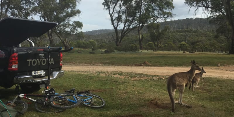 Photo by Elly Claire K