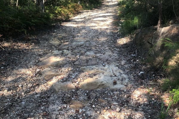 Photo by Samantha C.