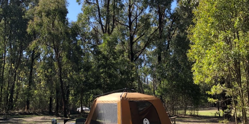 Photo by Gene Catalan Ashling