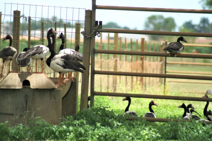 Photo by Robbie Robbins Reserve