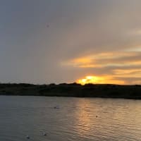 Photo by Brucethegoose