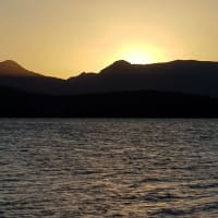 Photo by Roosevelt D.