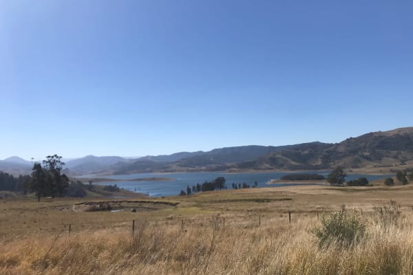 Photo by Katherine F.