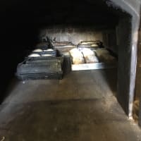 Photo by Christina T.