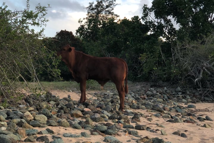 Photo by Samantha M.