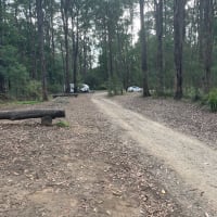 Photo by Francesca Giorgi Monfort