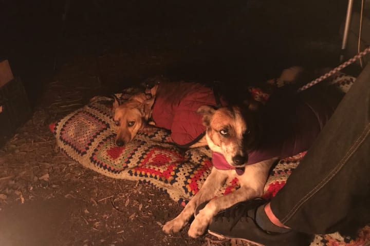 Photo by Brittany P.