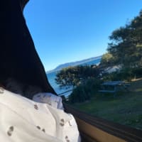 Photo by Celeste and Dan