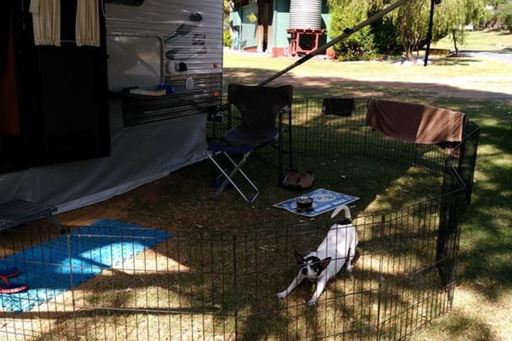 Photo by Michelle C.