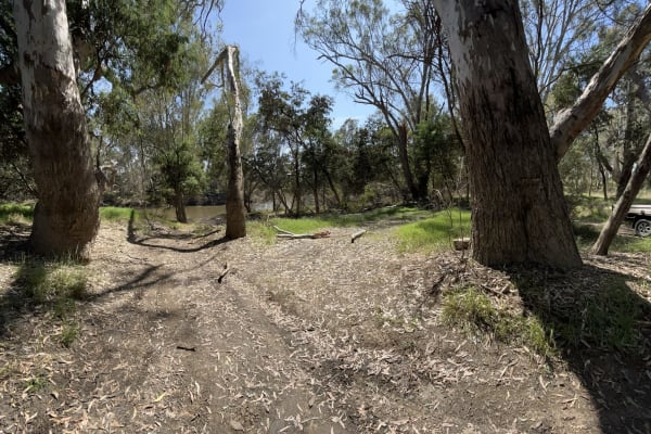 Photo by DaveDuff    CampInNature