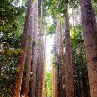 Photo by My Rig Adventures